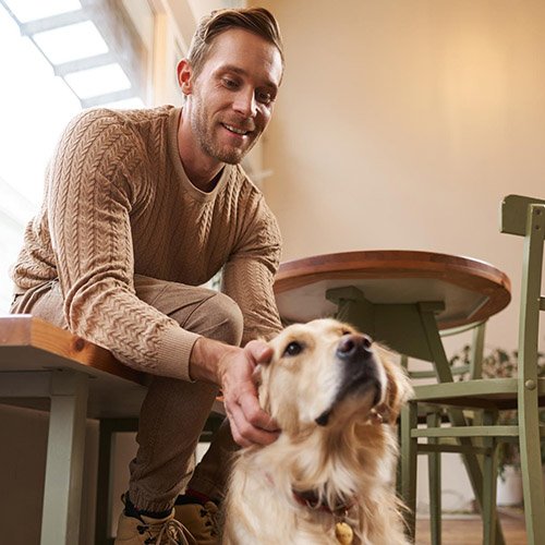 pet sitter_0000s_0000_Layer 9